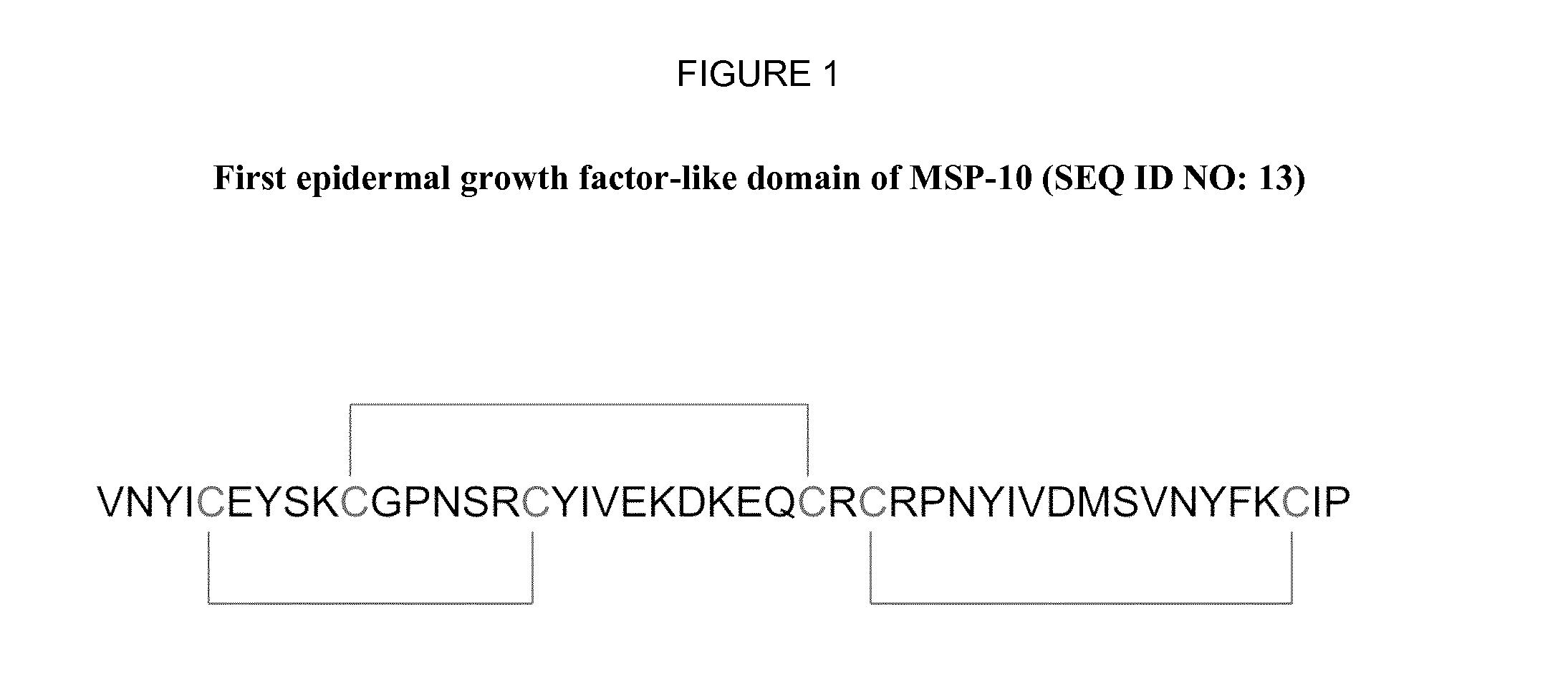 Novel Anti-plasmodium parasite antibodies