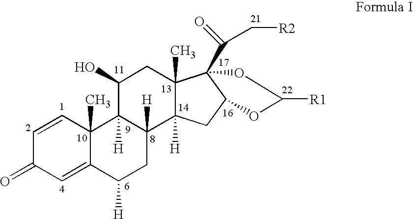 Ciclesonide and Syk Inhibitor Combination and Method of Use Thereof