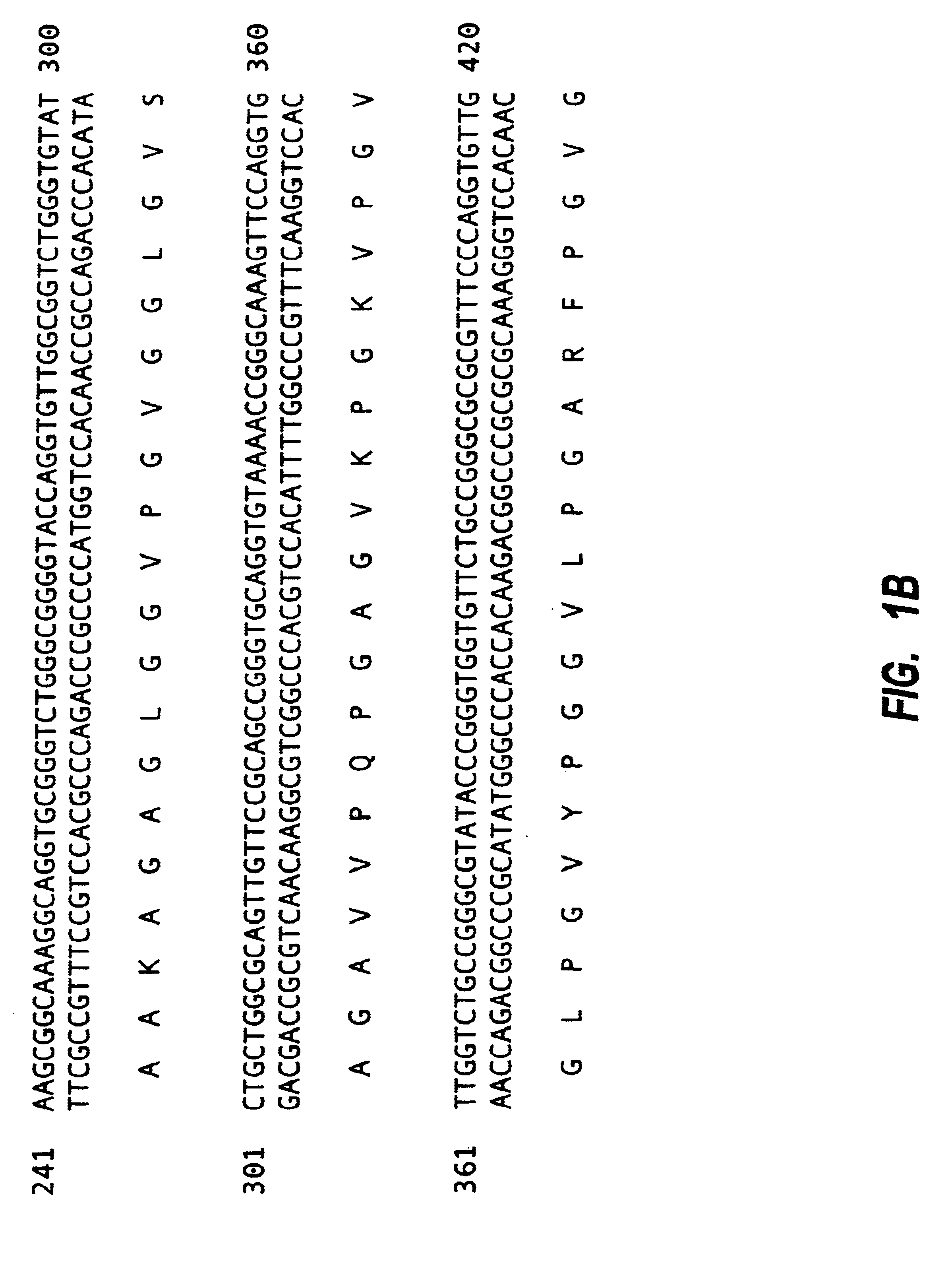 Tropoelastin derivatives