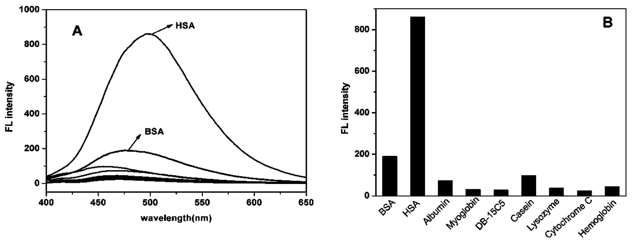 Synthesis method of fluorescent reagent for specific recognition and sensitive detection of human serum protein