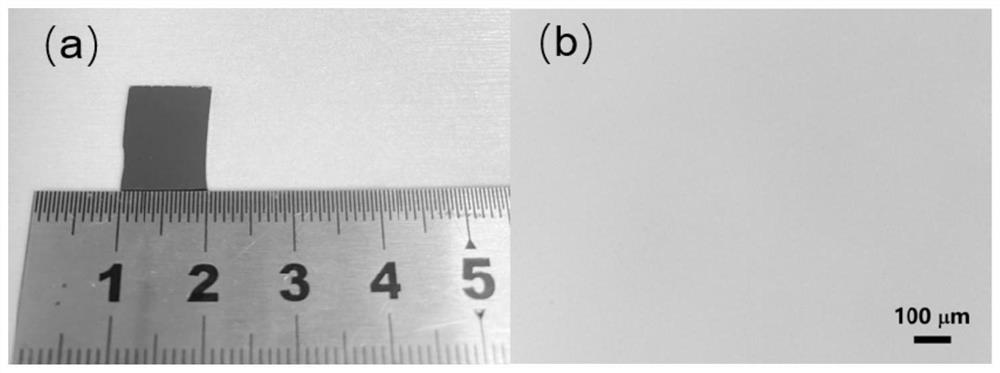 Preparation method of bismuth ferrite film