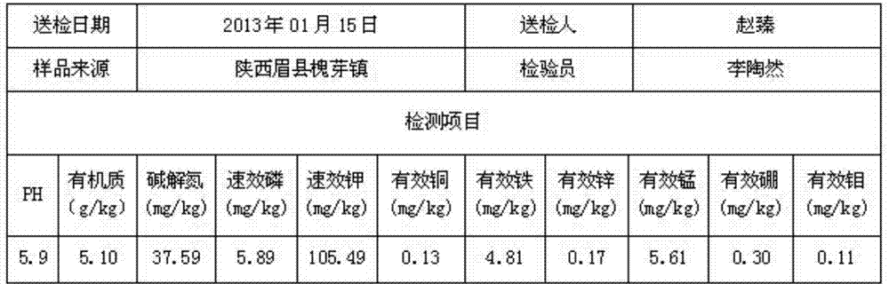 Micro-balanced ecological fertilizer special for walnut and preparation method thereof