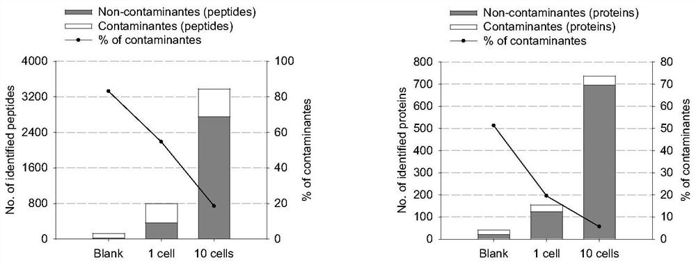 Single-cell single-tube sample preparation and single-cell proteomics analysis method