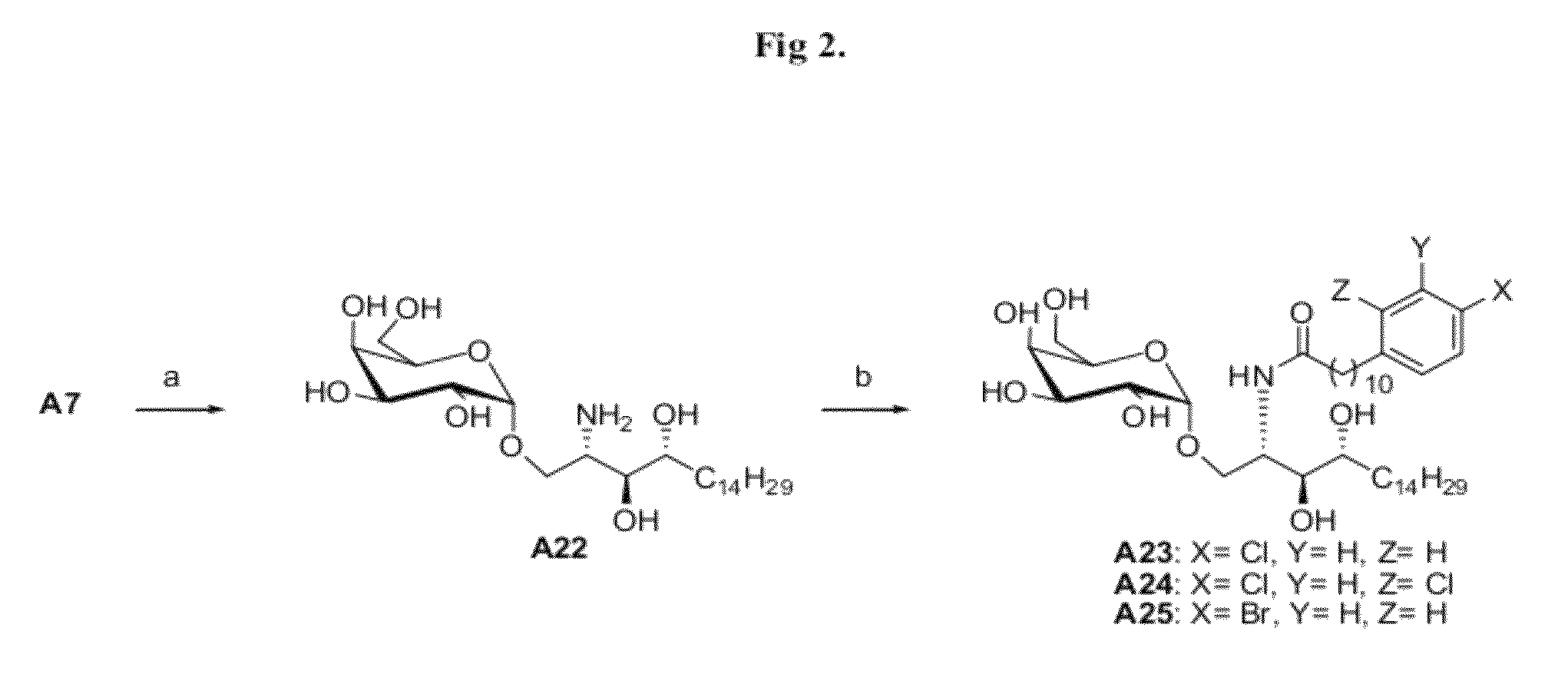 Methods for preparation of glycosphingolipids and uses thereof