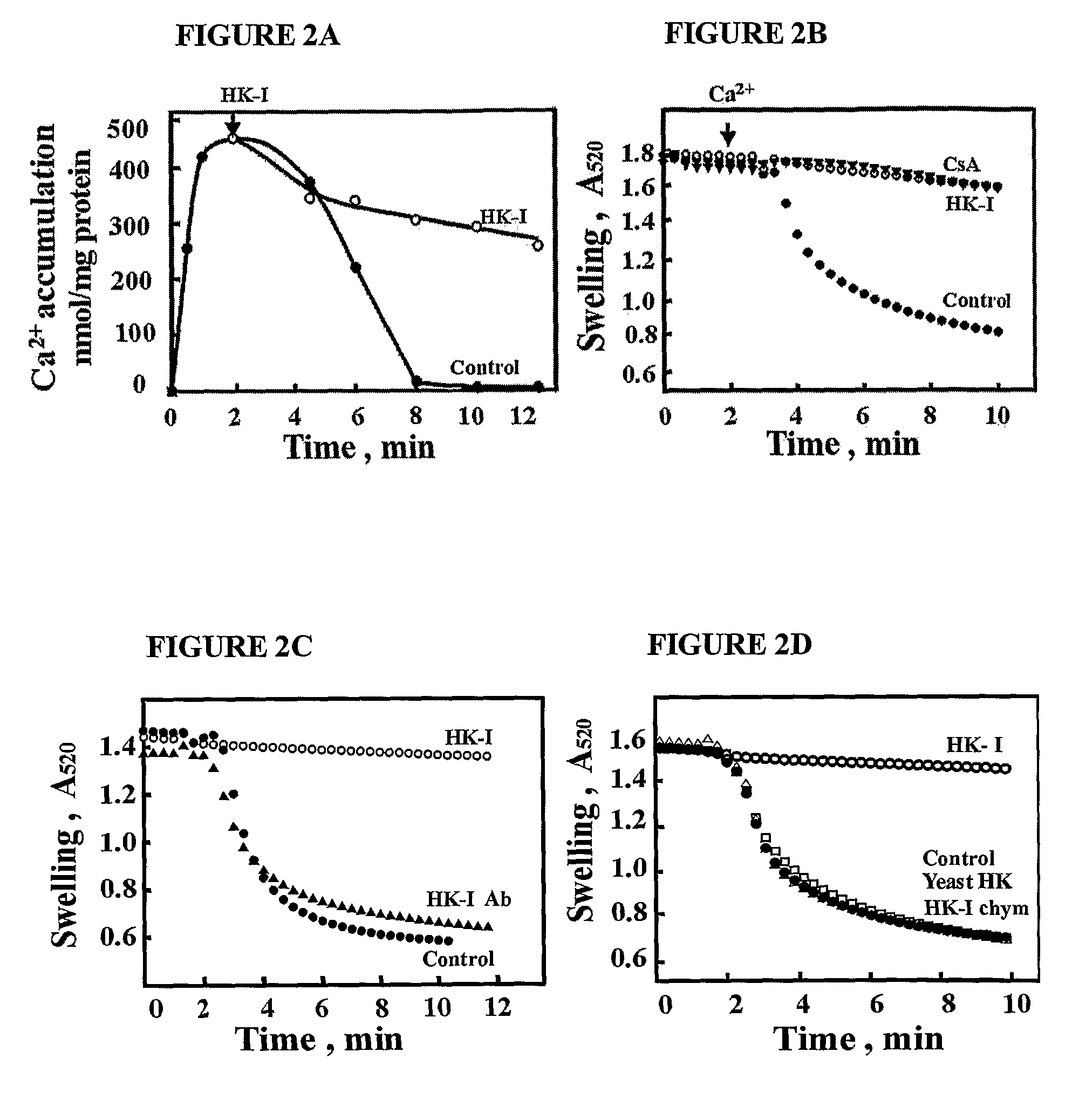 Voltage Dependent Anion Channel (Vdac1) Compositions and Methods of Use Thereof for Regulating Apoptosis