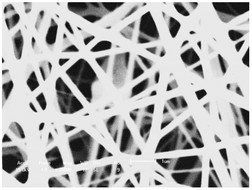 Nanofiber coated with polylactic acid-polyethylene glycol and preparation method thereof