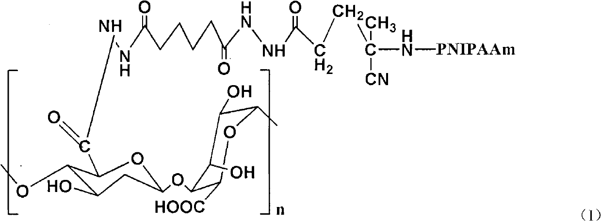 Aminated alginic acid and preparation method thereof