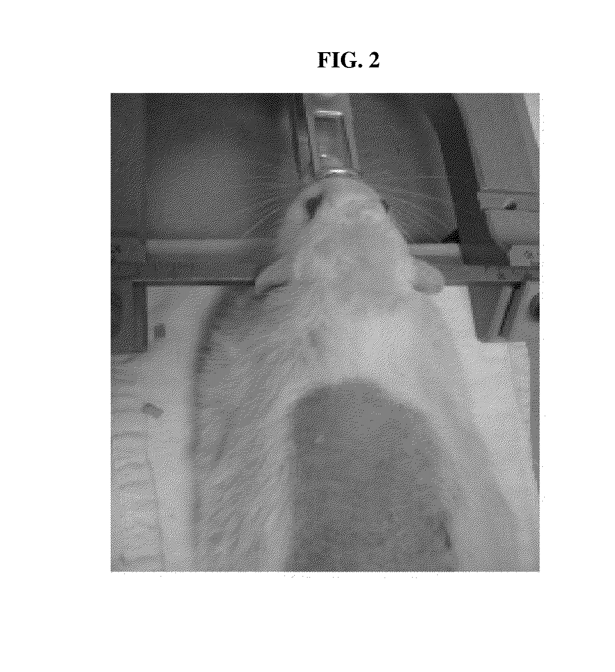 Animal model for evaluating performance of hemostatic agent for inducing hemorrhage in common carotid artery or superior sagittal sinus, and use thereof