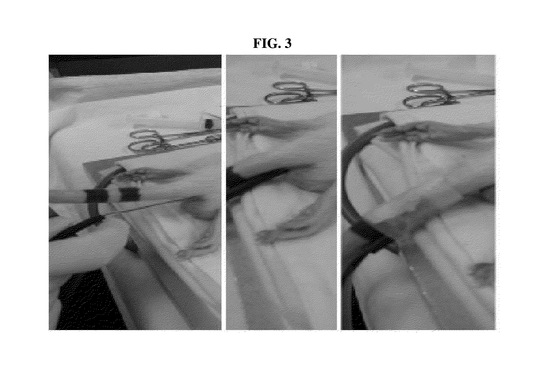 Animal model for evaluating performance of hemostatic agent for inducing hemorrhage in common carotid artery or superior sagittal sinus, and use thereof