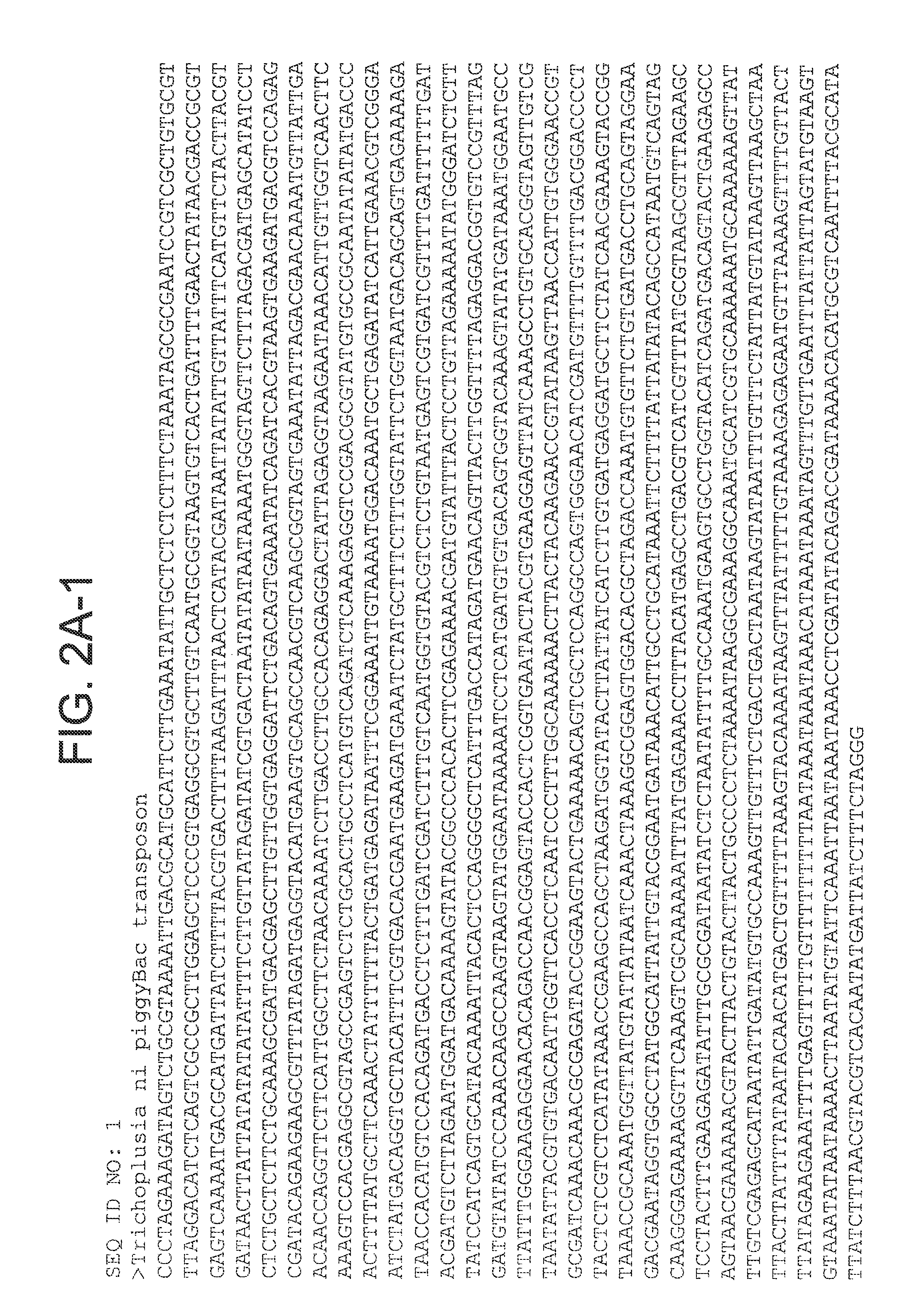 Piggybac transposon variants and methods of use