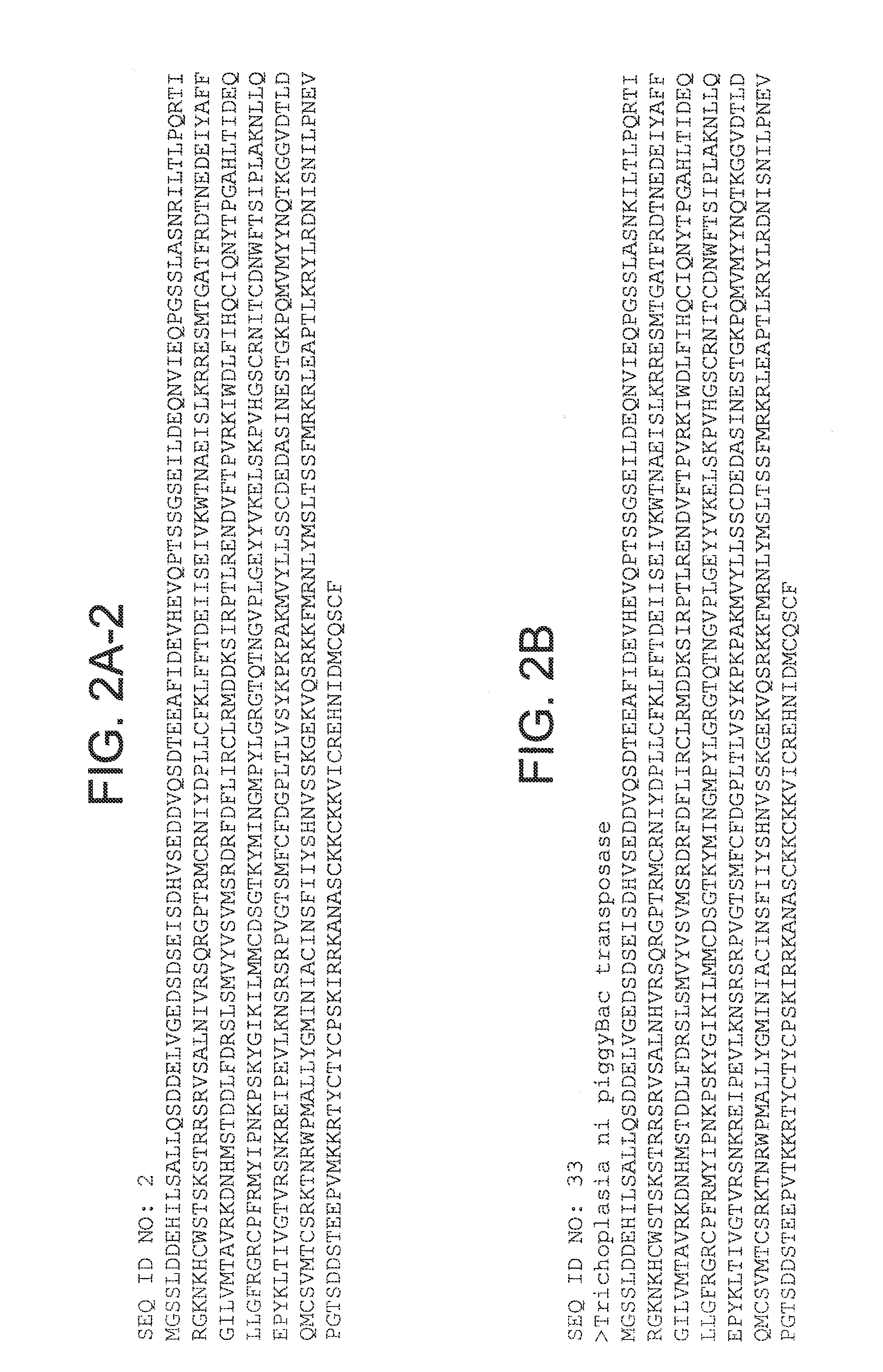 Piggybac transposon variants and methods of use