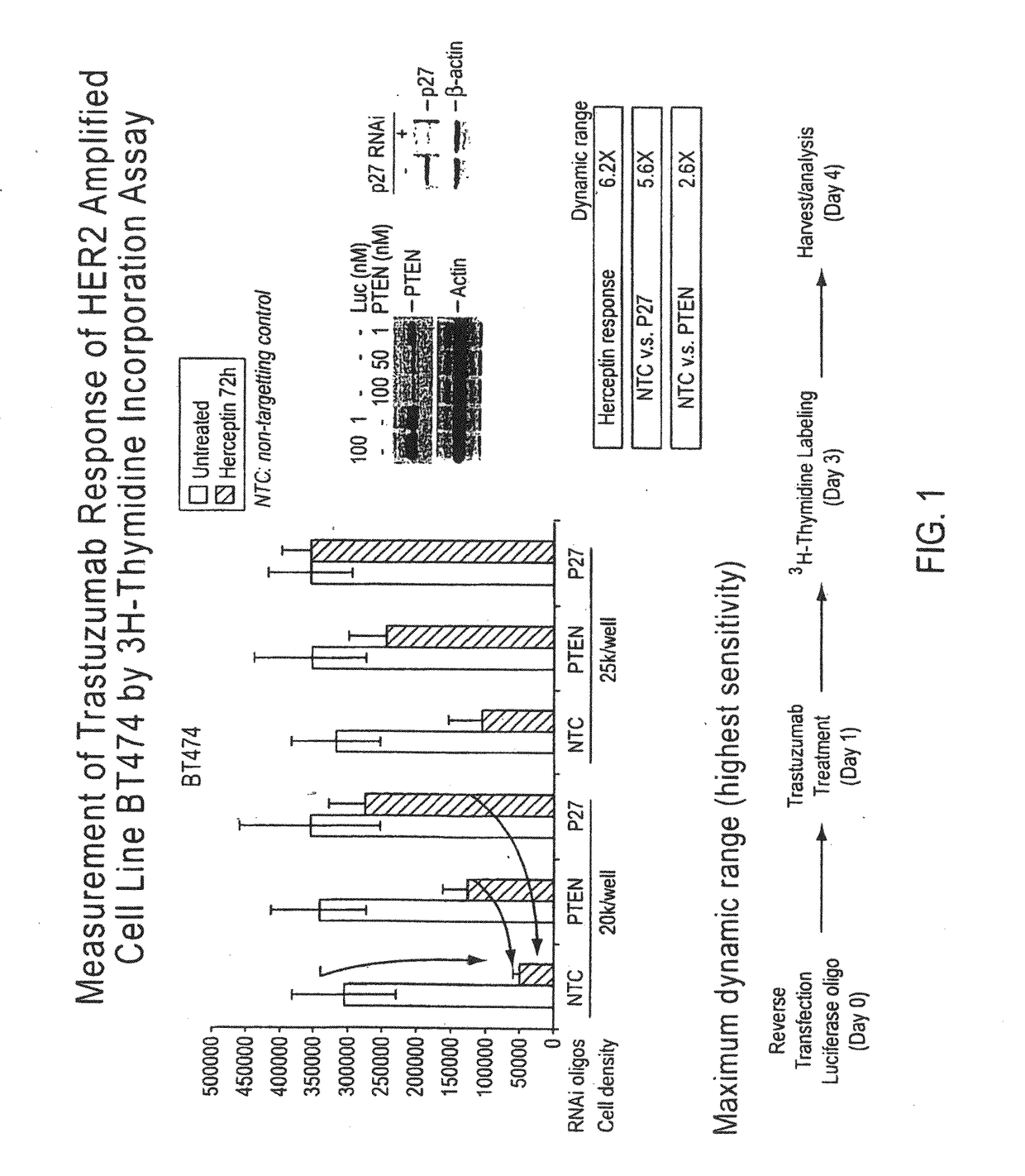 Gene expression markers of tumor resistance to her2 inhibitor treatment