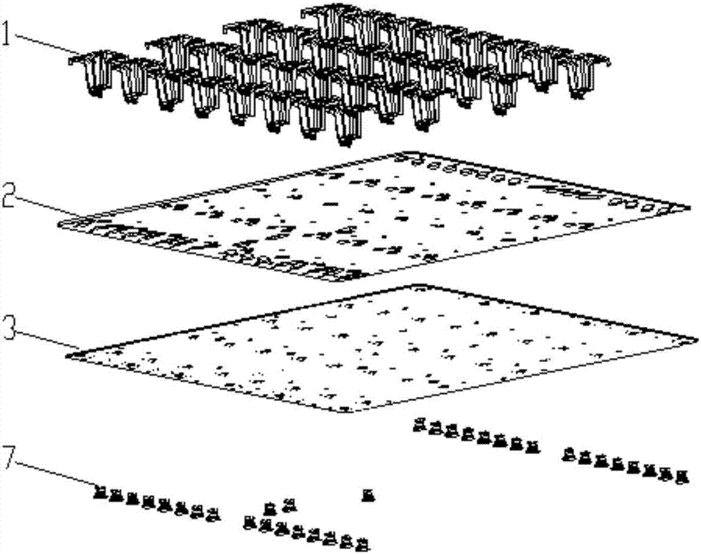 Dense array antenna having blind insertion structure