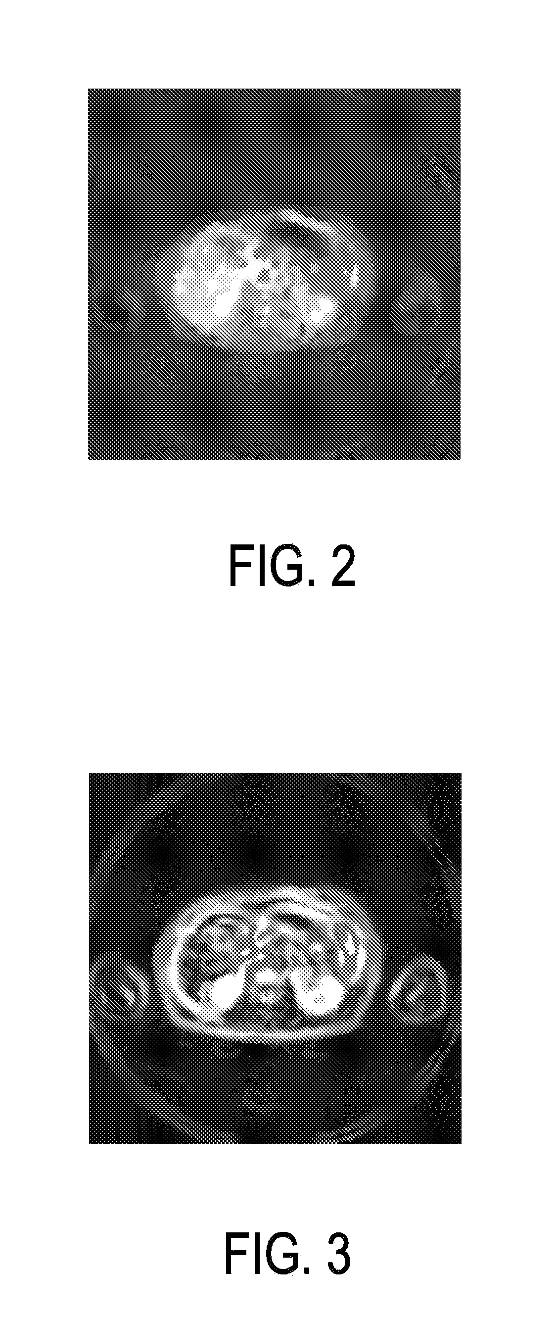 Apparatus for generating assignments between image regions of an image and element classes