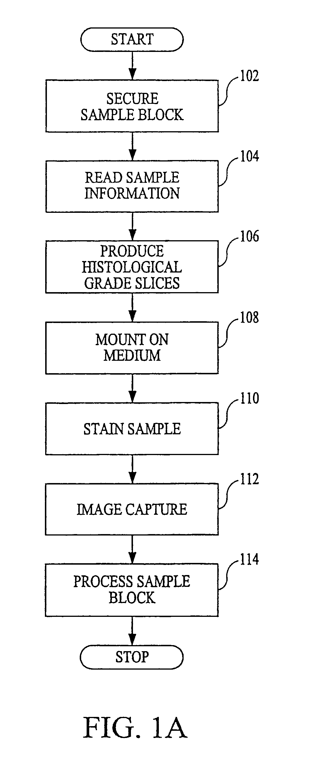 System and method for automatically processing tissue samples