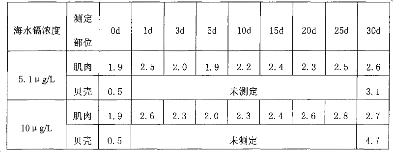 Method for adsorbing seawater exceeding cadmium by cultivating blood clam