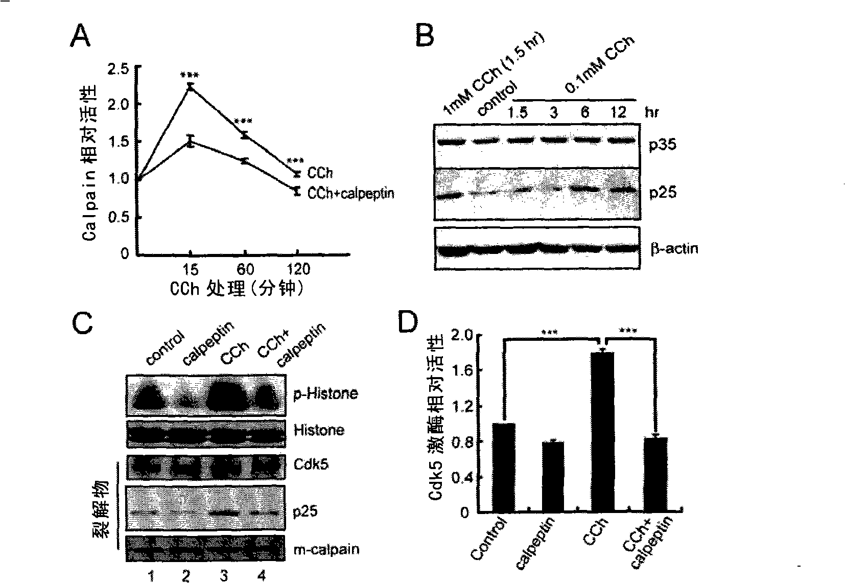 Method for aggregating acetylcholinergic receptor for stabilizing neuromuscular junction