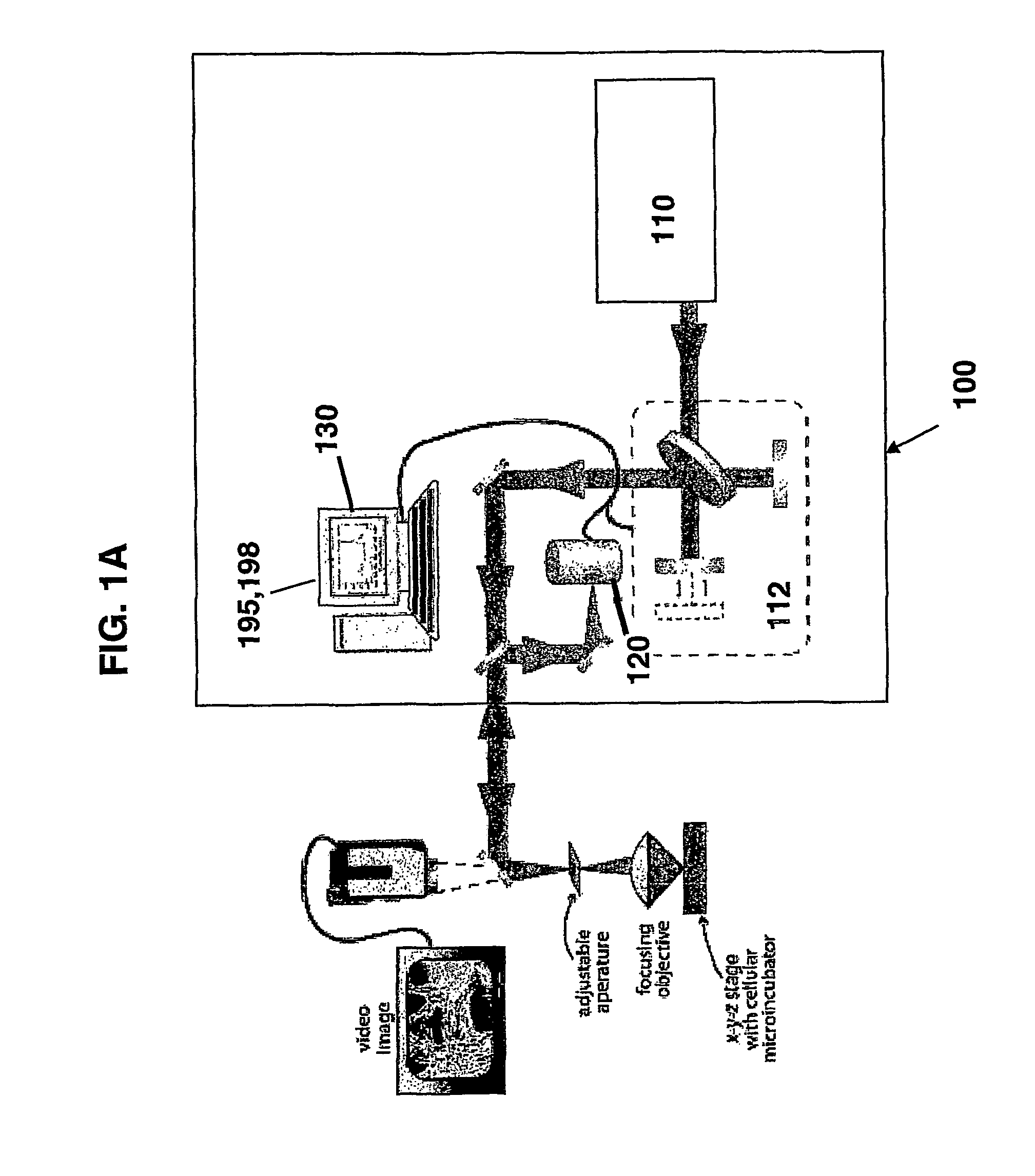 Catheter based mid-infrared reflectance and reflectance generated absorption spectroscopy