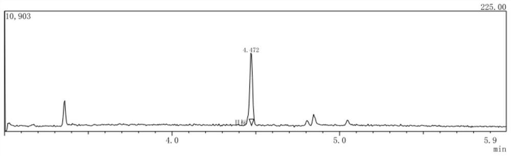 Gas chromatography-mass spectrometry method for determining genotoxic impurity 1, 3-dichloro-2-propanol