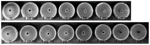 Thiophanate-methyl compound bactericide and application thereof