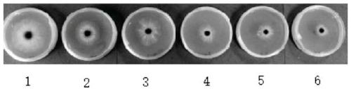 Thiophanate-methyl compound bactericide and application thereof