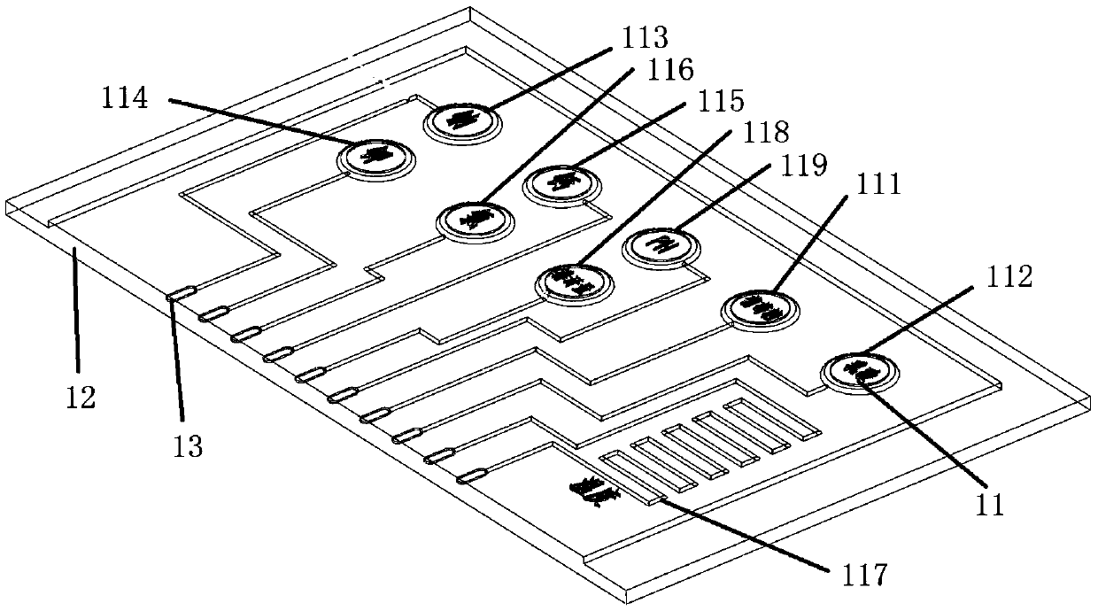 Wearing type physiological parameter monitoring equipment for pilots