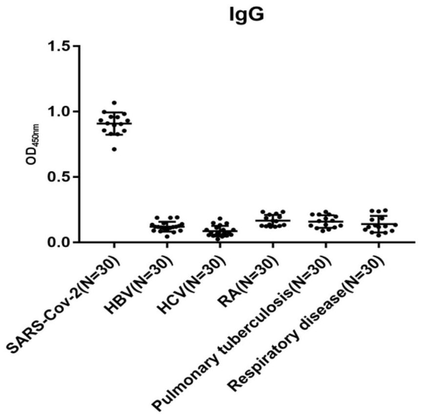 Indirect ELISA (Enzyme-Linked Immuno Sorbent Assay) detection method of SARS-CoV-2S protein IgG (Immunoglobulin G)