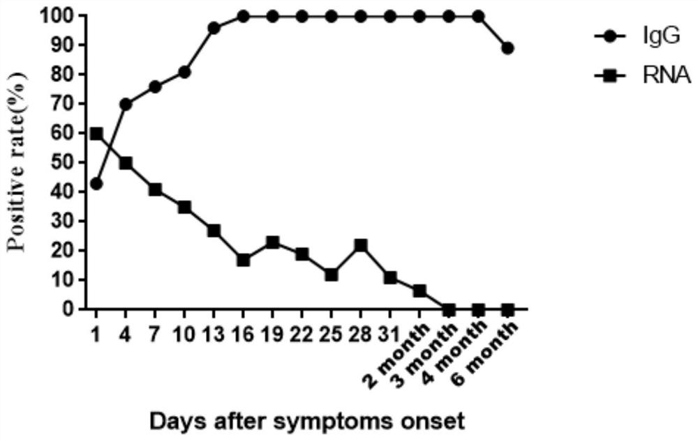 Indirect ELISA (Enzyme-Linked Immuno Sorbent Assay) detection method of SARS-CoV-2S protein IgG (Immunoglobulin G)