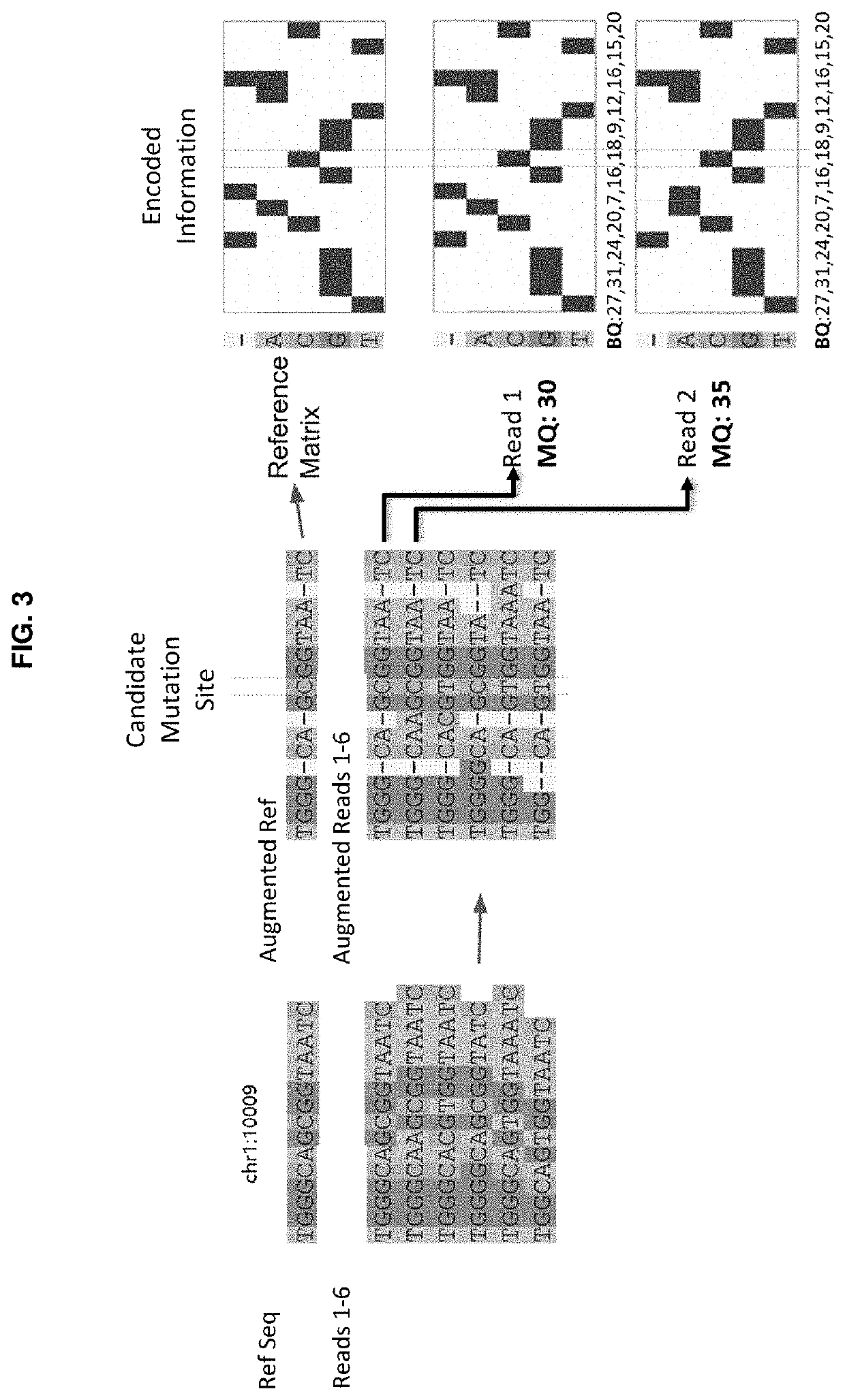 Genetic mutation detection using deep learning