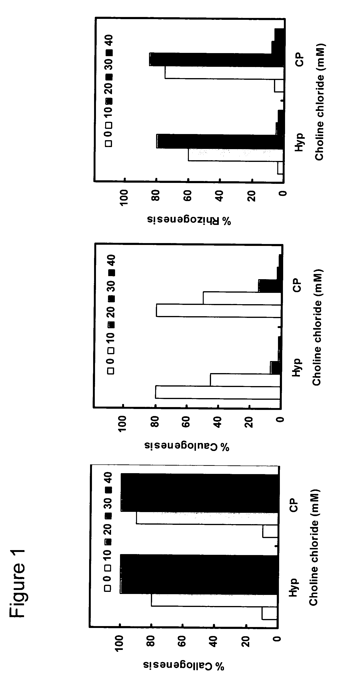 Selection marker system and method for screening a choline tolerant plant cell