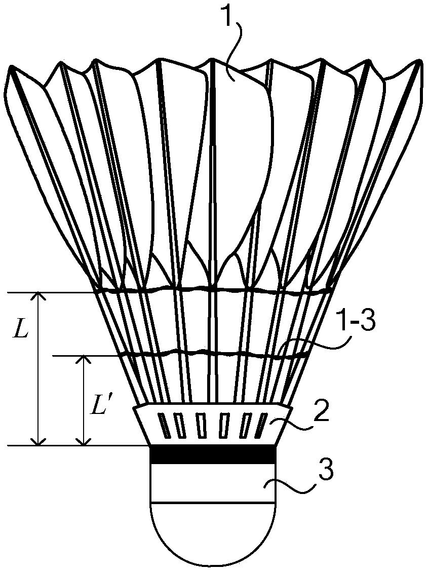 Novel shuttlecock