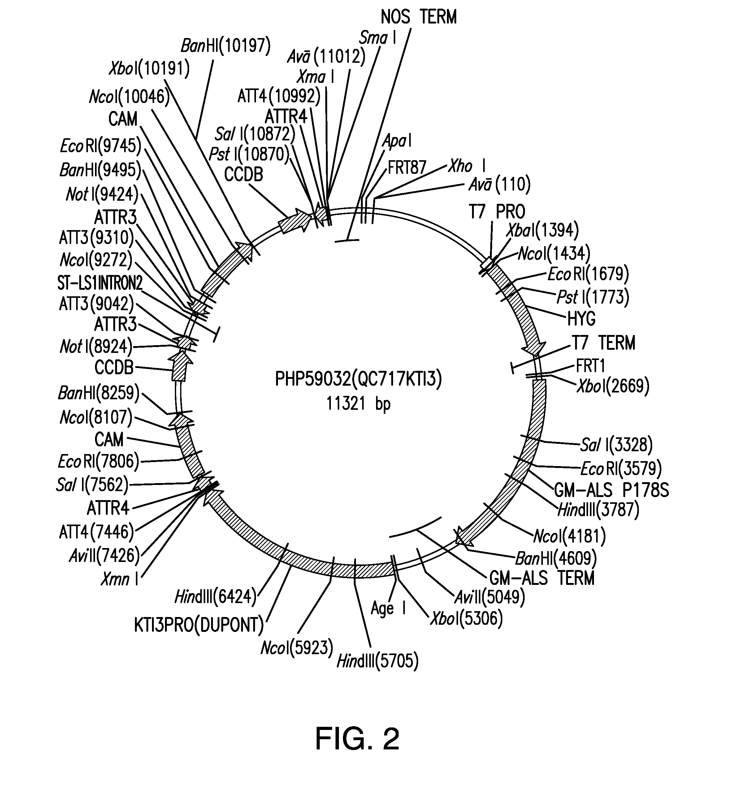 Compositions and methods for insecticidal control of stinkbugs