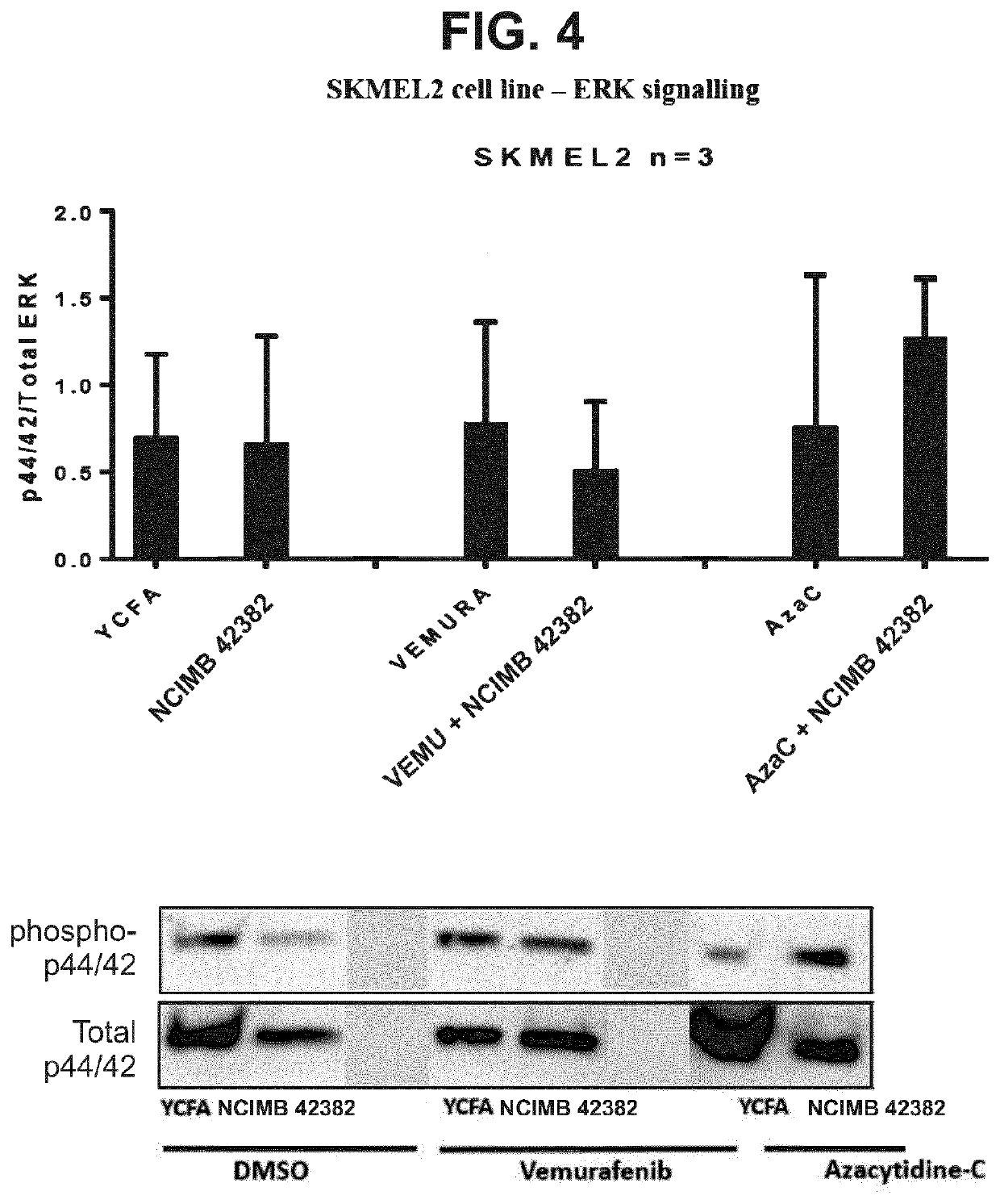 Compositions comprising bacterial strains