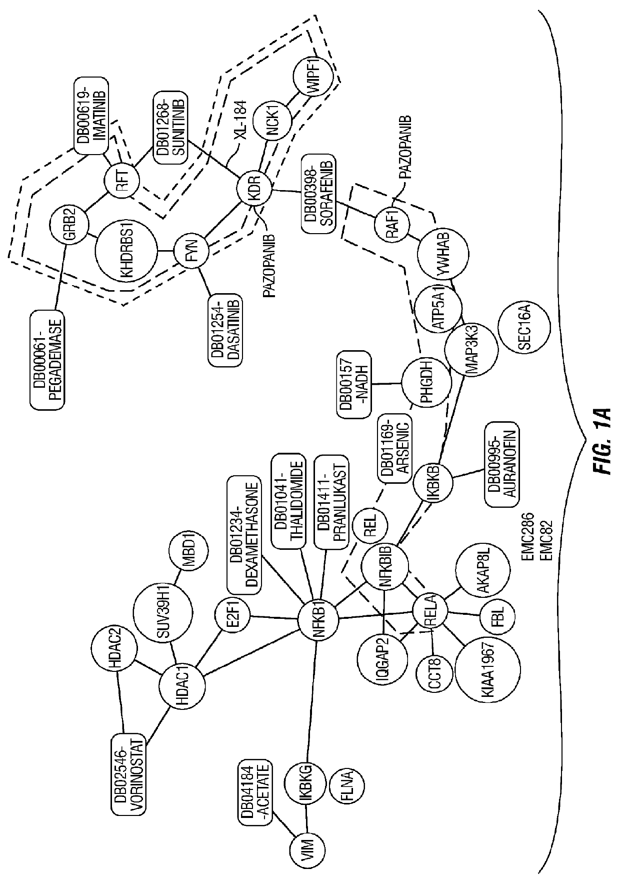 Molecular diagnostic methods for predicting brain metastasis of breast cancer