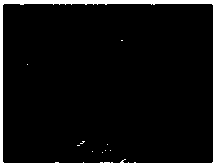 Detecting system for cylinder inner wall based on structured light