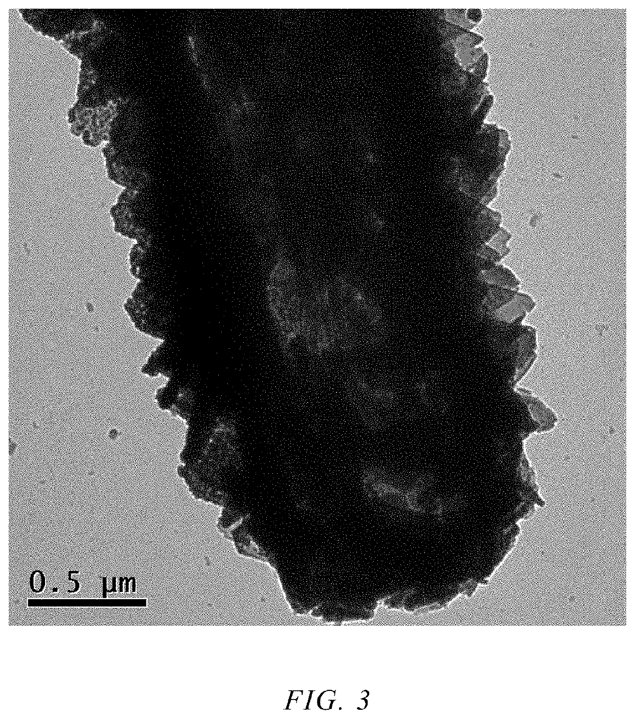 Heterojunction composite material consisting of one-dimensional IN<sub>2</sub>O<sub>3 </sub>hollow nanotube and two-dimensional ZnFe<sub>2</sub>O<sub>4 </sub>nanosheet, and application thereof in water pollutant removal