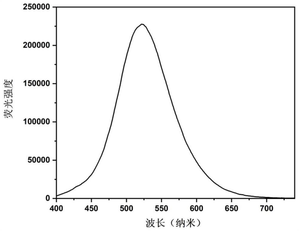 1, 3, 5, 7-tetramethylcyclotetrasiloxane-based ciprofloxacin fluorescent probe and application thereof in iron ion detection