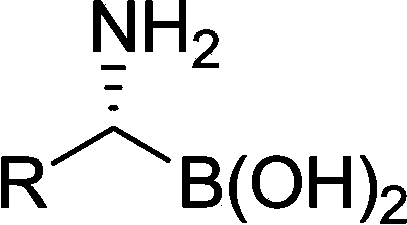 Diverse chiral amino boric acid, preparation method and application thereof