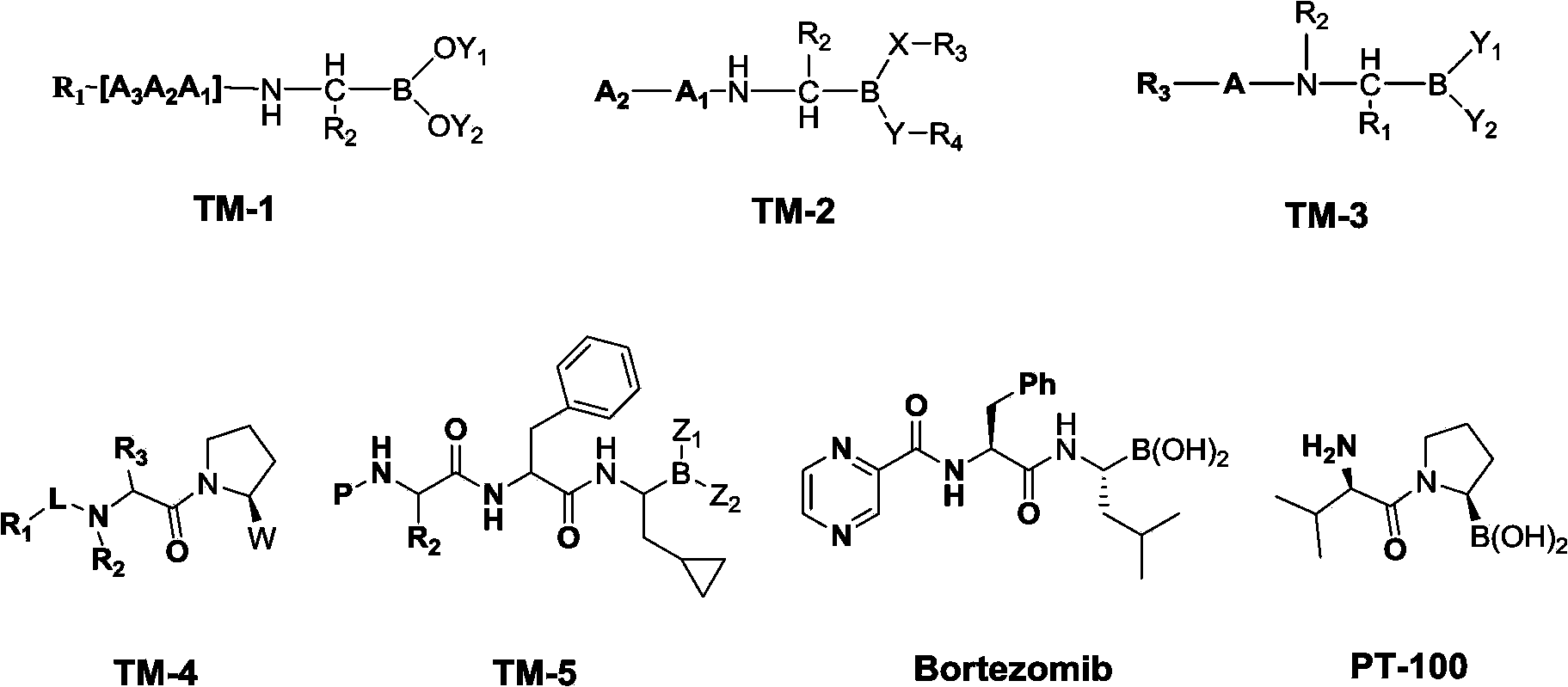 Diverse chiral amino boric acid, preparation method and application thereof