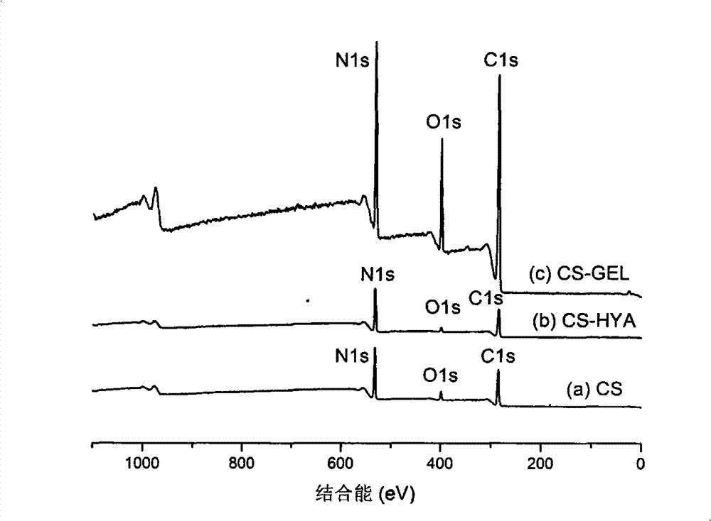 Method for preparing surface-functionalized chitosan cornea repair material