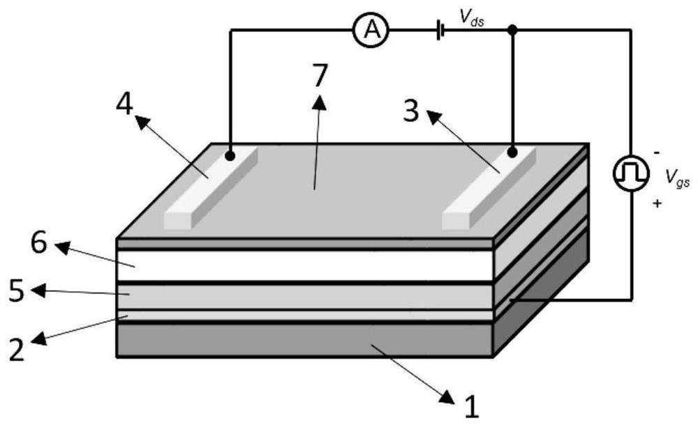 Multifunctional photosensitive synaptic device based on two-dimensional material and preparation method of multifunctional photosensitive synaptic device