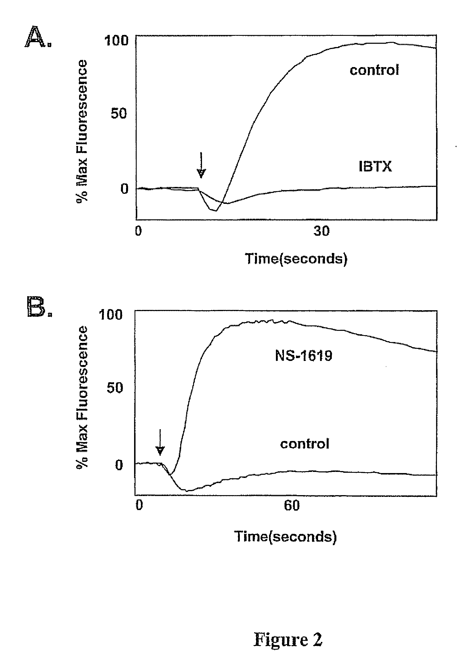 Method for detecting modulators of ion channels using thallium (i) sensitive assays
