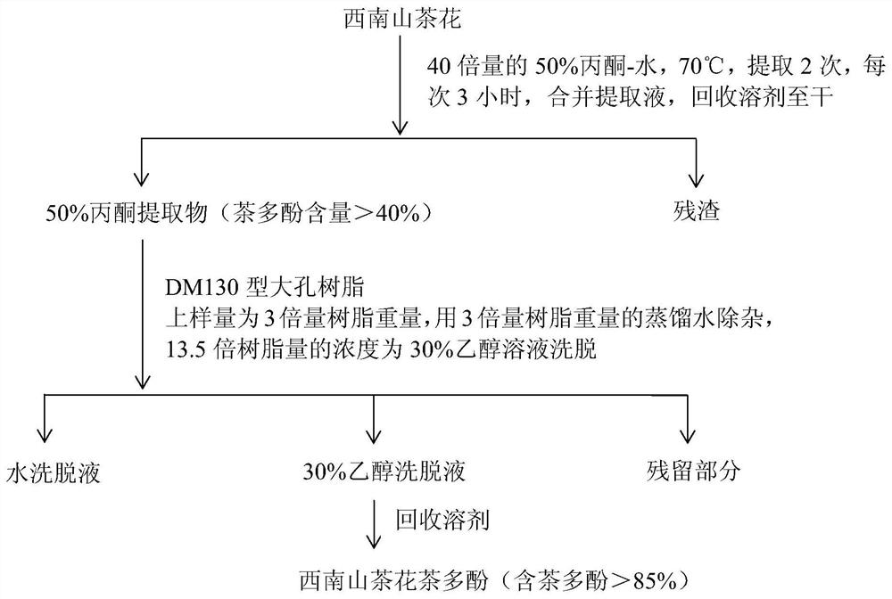 Preparation method of tea polyphenols in Southwest Camellia