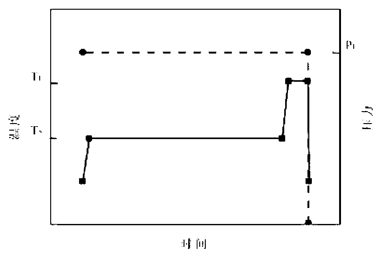 Preparation method of high polymer product provided with multi-scale foam structure and applications of high polymer product provided with multi-scale foam structure