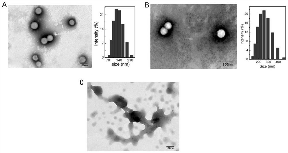 Slow-release gel drug delivery system for postoperative intracavitary chemotherapy/immune co-treatment as well as preparation method and application of sustained-release gel drug delivery system