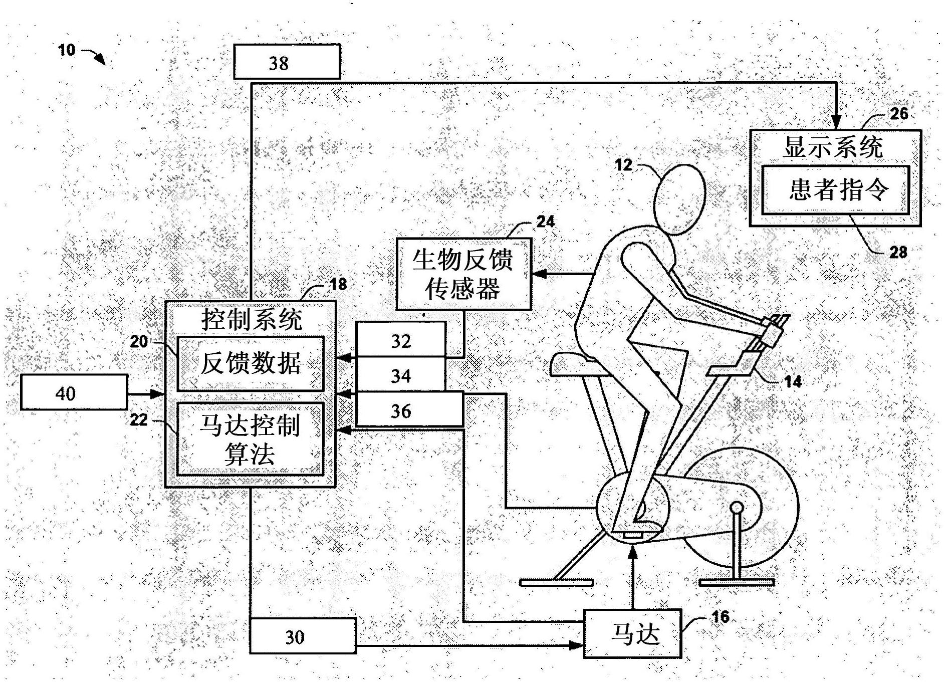 Systems and methods for improving motor function with assisted exercise