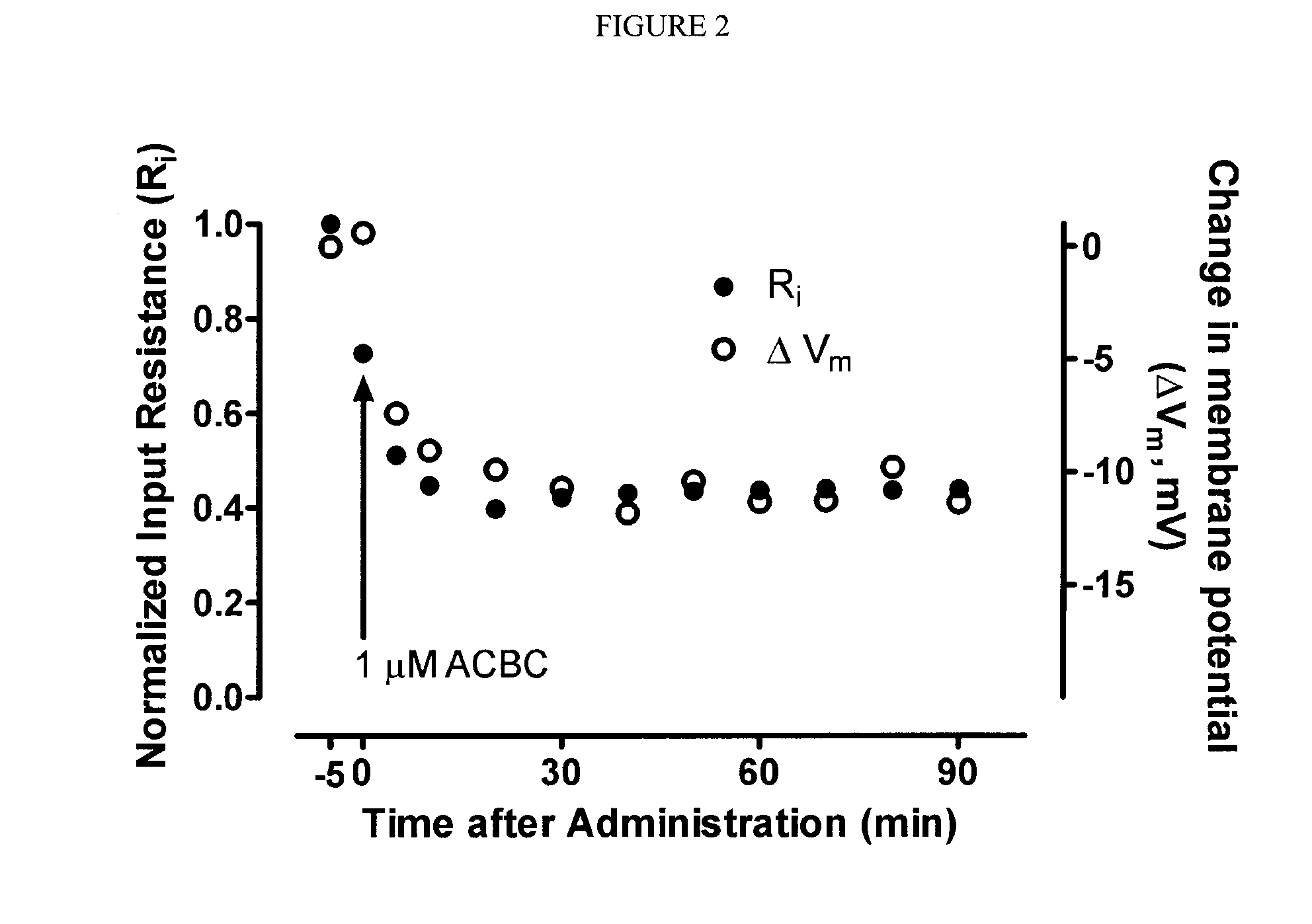 Cyclic amino acids for the treatment of pain