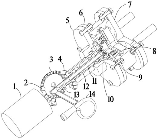 Water treatment device based on self-oscillation cavitation impeller