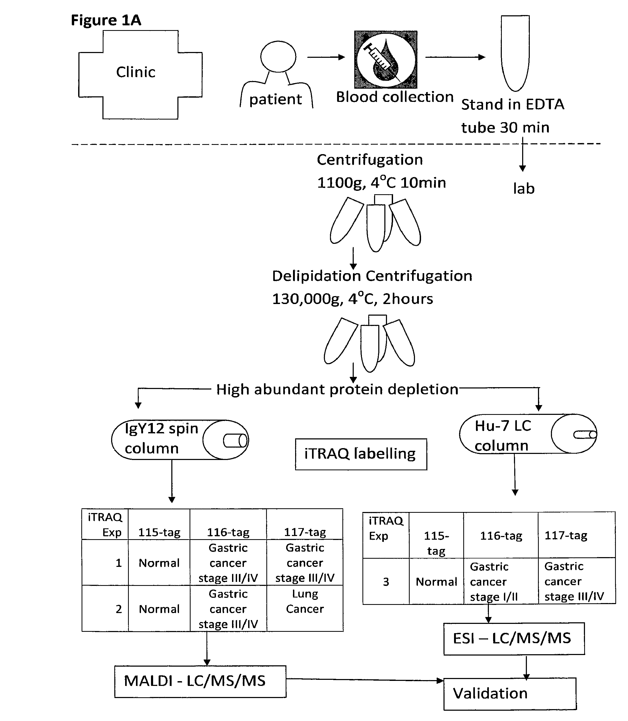 Cancer biomarker and the use thereof