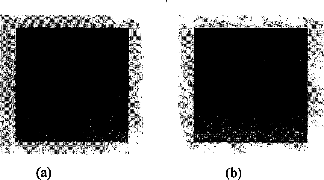Weak target detecting and tracking method in infrared image sequence